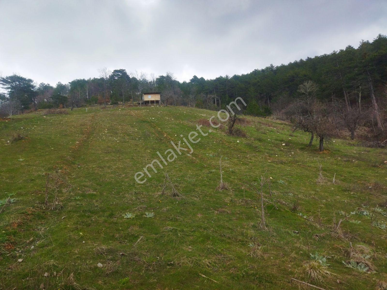 Osmangazi Büyükdeliller Köyünde Satılık 5.639 M2 Tarla - Görsel 19