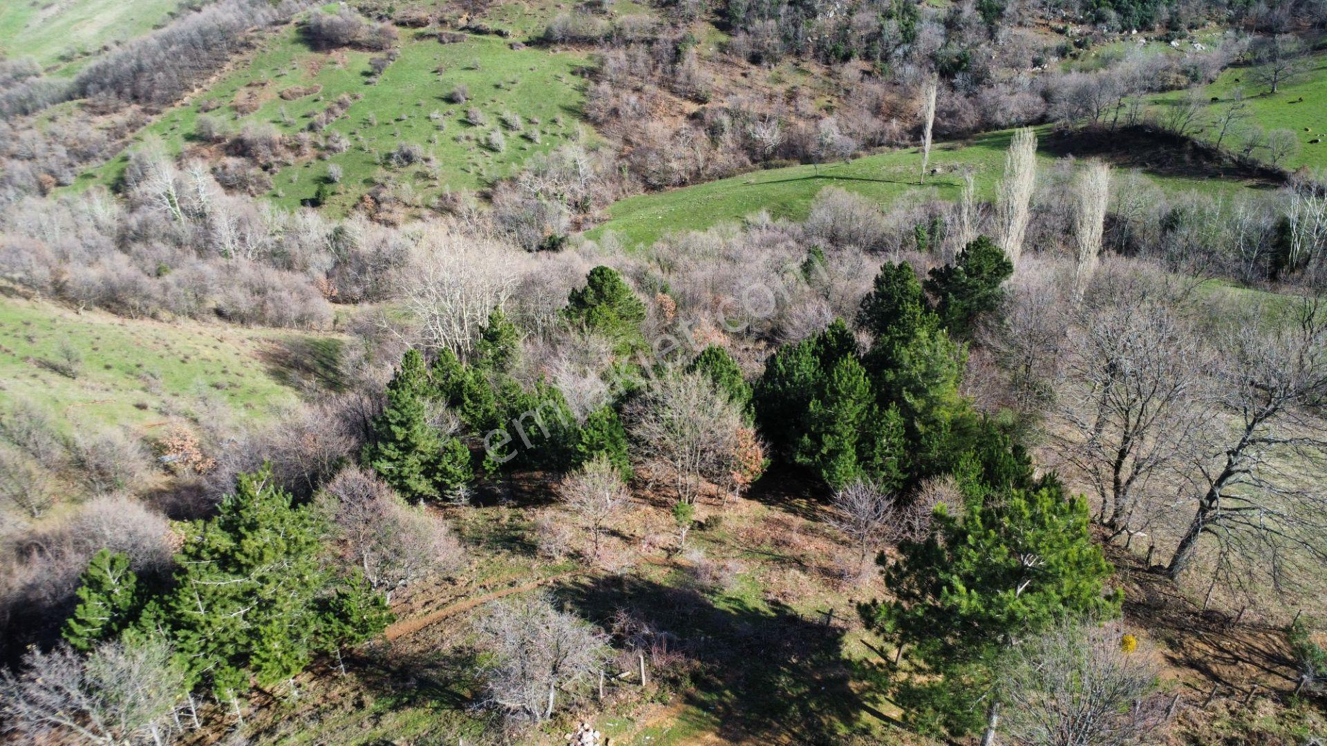 Yatırımlık Araç Takaslı Biga Işıkeli Köyünde 10700 M2 Tarla - Görsel 23