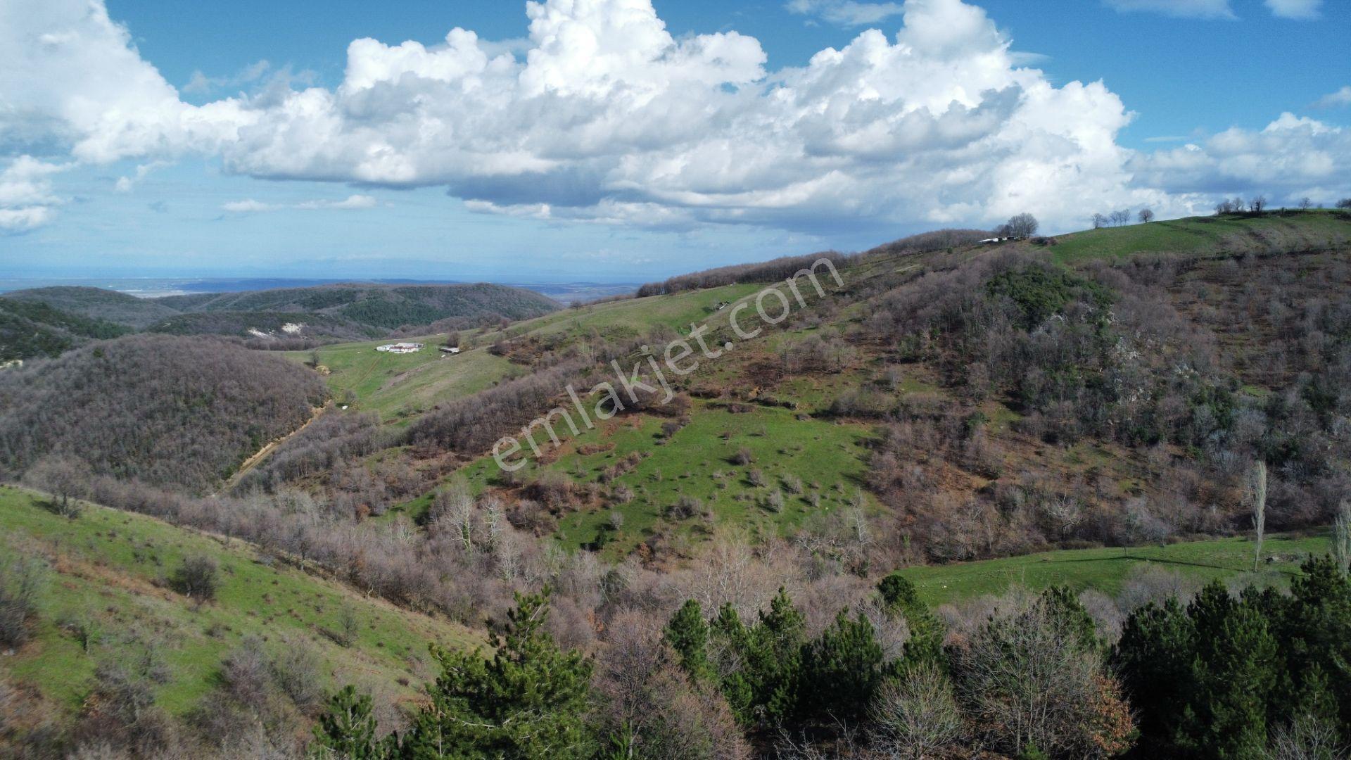 Yatırımlık Araç Takaslı Biga Işıkeli Köyünde 10700 M2 Tarla - Görsel 22