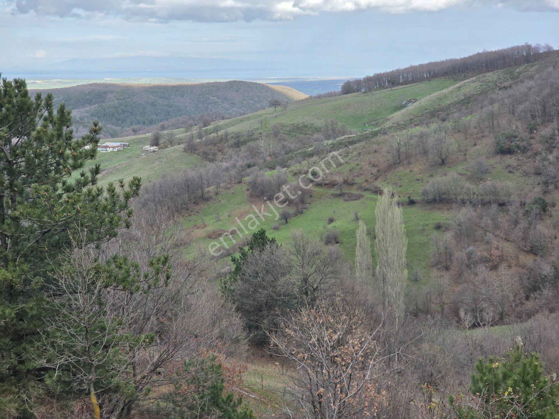 Yatırımlık Araç Takaslı Biga Işıkeli Köyünde 10700 M2 Tarla - Görsel 12
