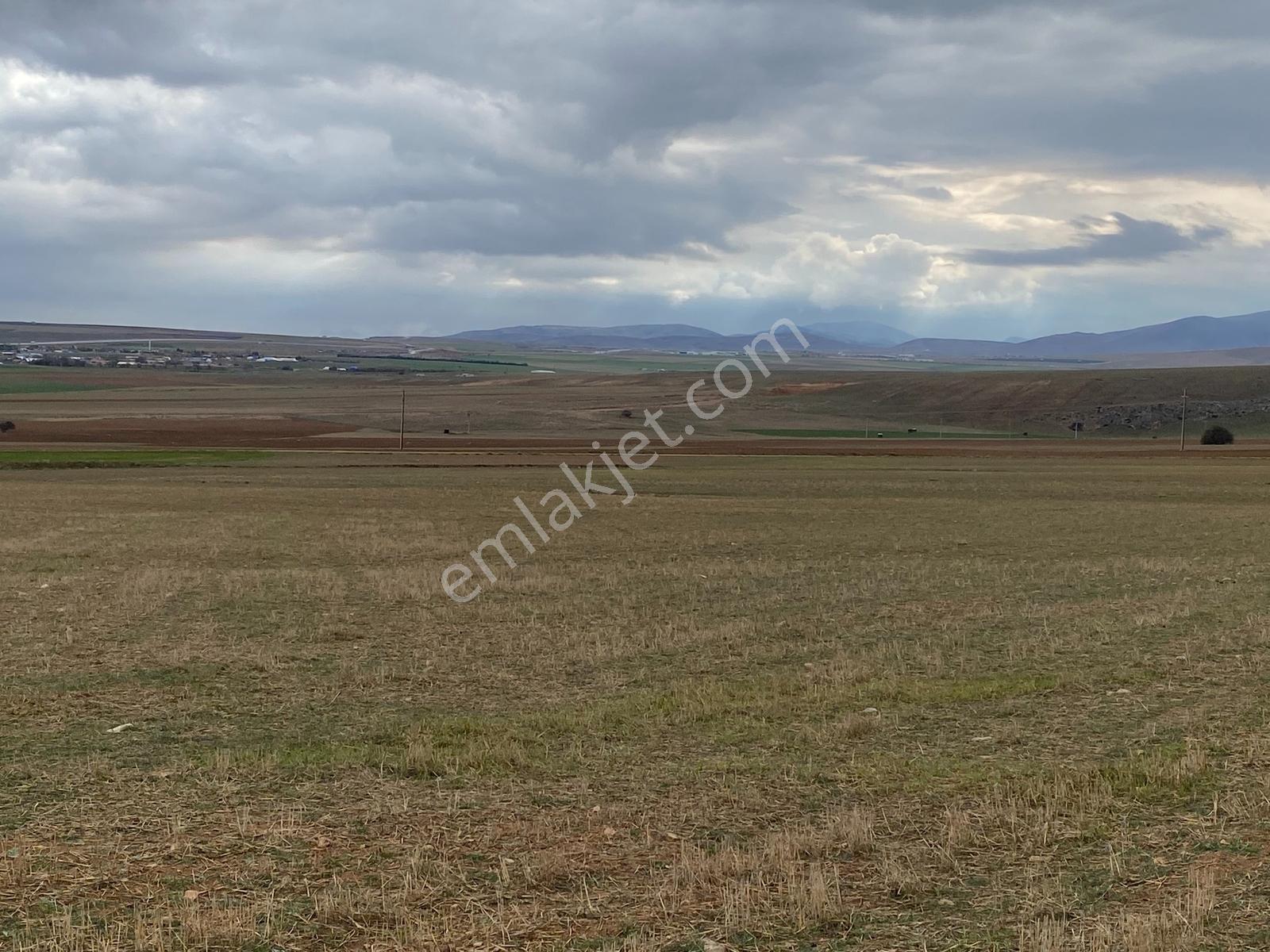 Çaltıda 15bin M2 Satılık Tarla - Görsel 2