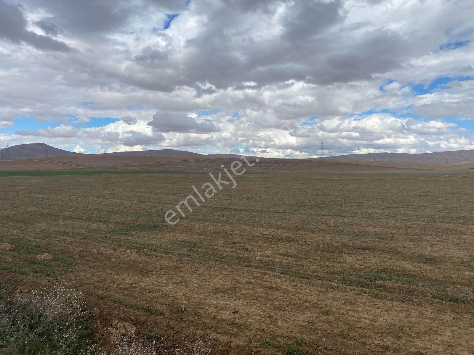 Çaltı'da 15.000 M2 Satılık Tarla