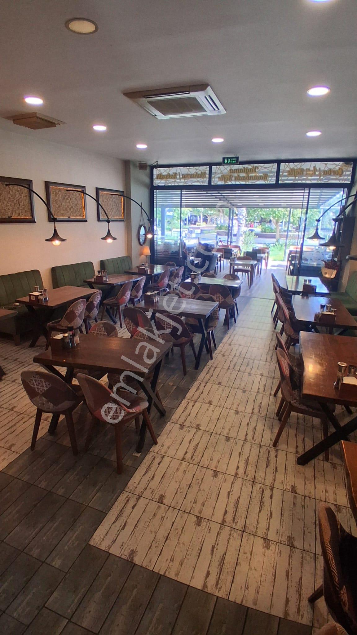 Akdeniz Üniversite İçinde 11 Yıldır Faal Çok Yüksek Cirolu Kafe - Görsel 5