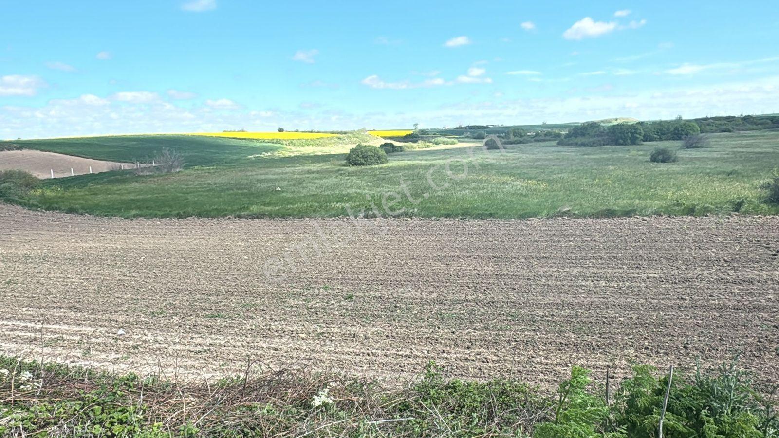 Var Gayrimenkulden Kapaklı Uzunhacı'da Tek Tapu 1.287m2 Tarla - Görsel 2
