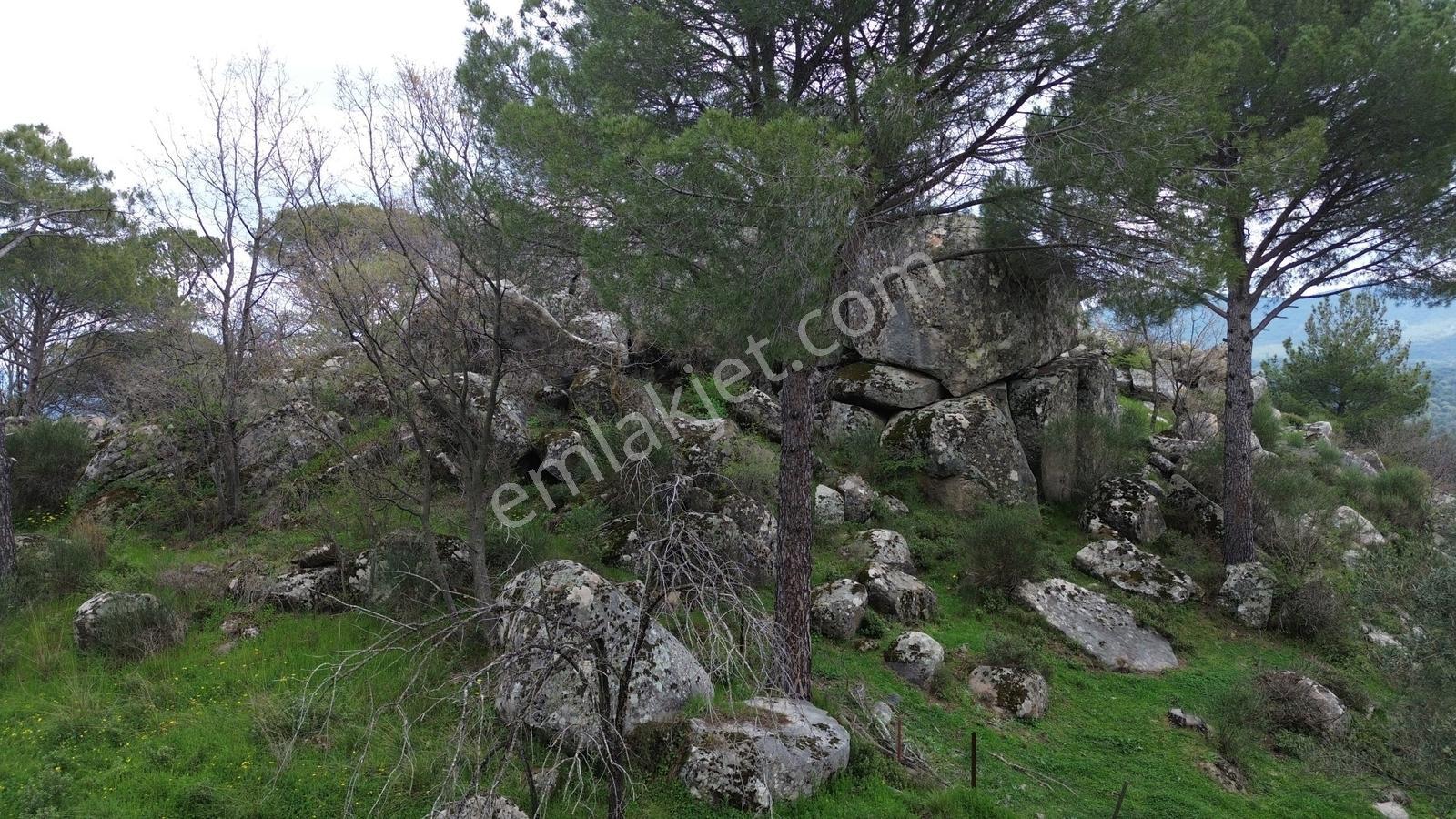Bergama Göbeller Mahallesin'de Toplam 6.512m2 Satılık Bağ - Görsel 4