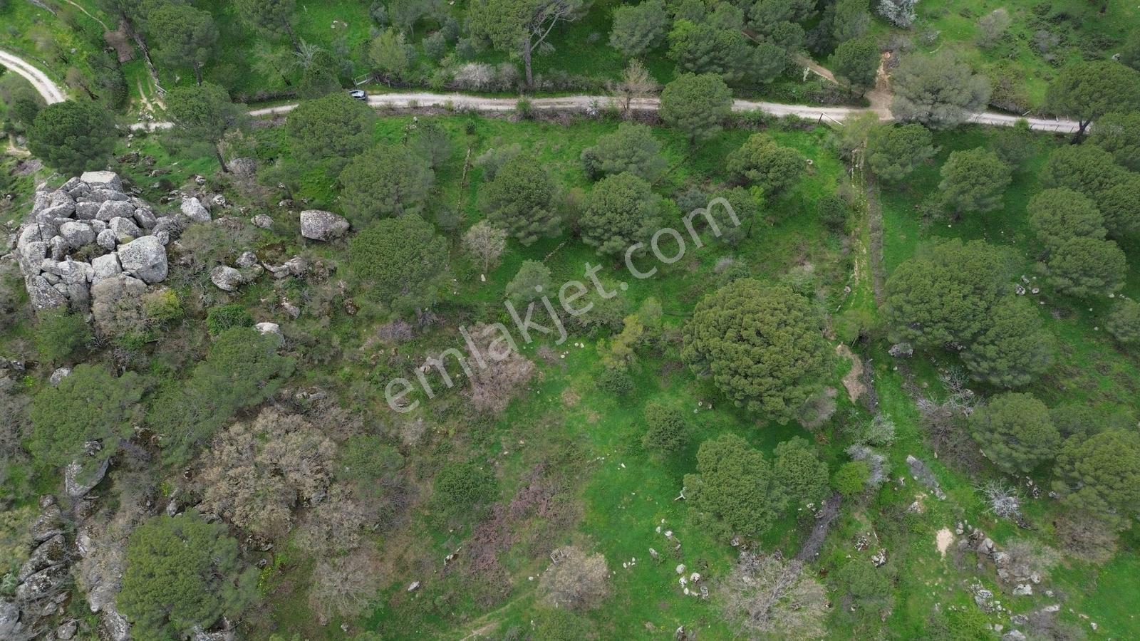 Bergama Göbeller Mahallesin'de Toplam 6.512m2 Satılık Bağ - Görsel 33