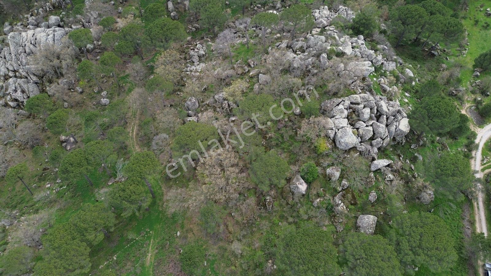 Bergama Göbeller Mahallesin'de Toplam 6.512m2 Satılık Bağ - Görsel 28