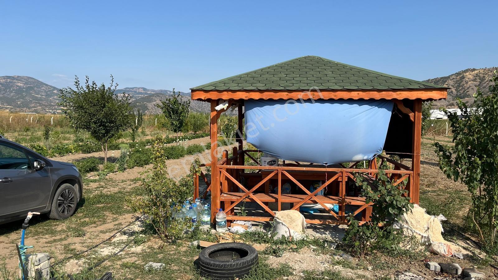 Suluova Doğankent'de Huzur Dolu Satılık Hobi Bahçesi - Görsel 12