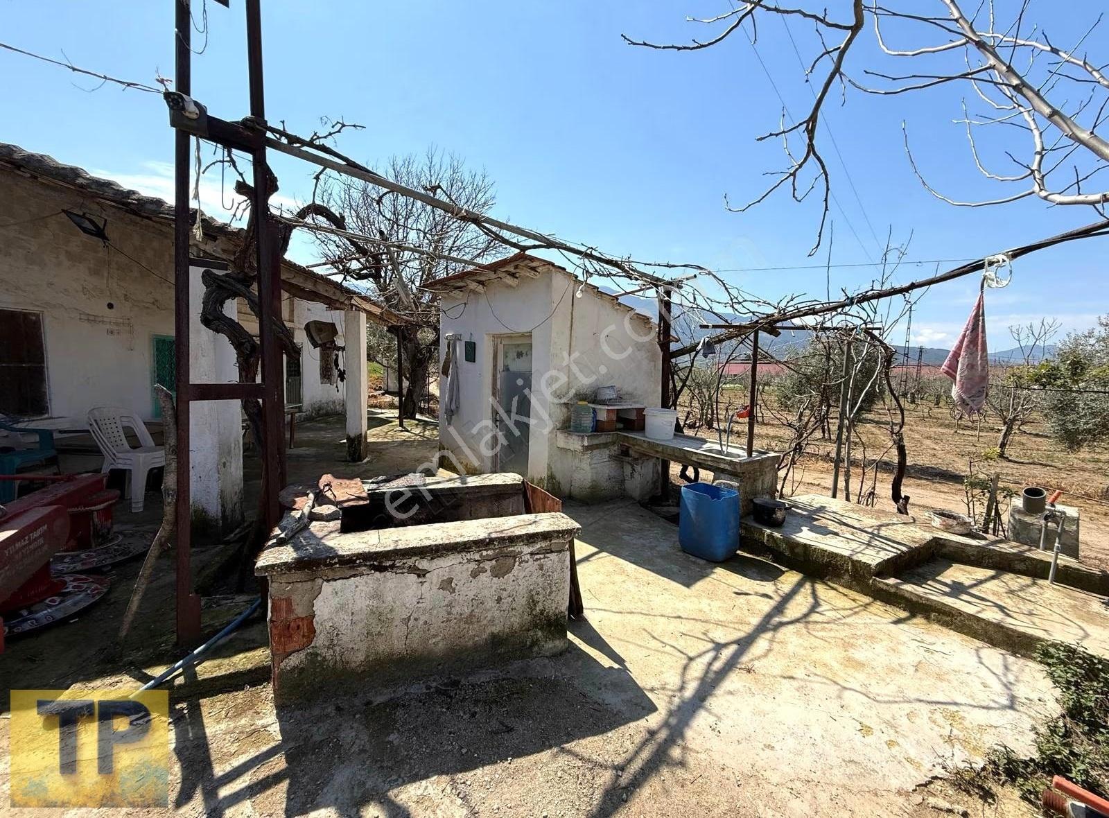 Tire Pınar Emlak Tan Satılık Tire Yakını Arazi - Görsel 15