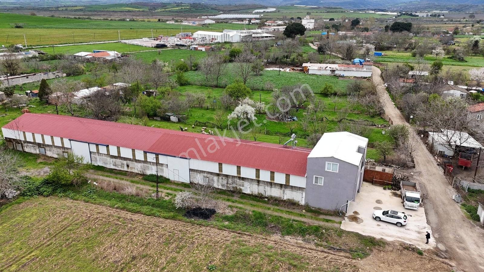 Zeybek Emlaktan Tırnova Mah. 900m2 Kiralık Depo - Görsel 24