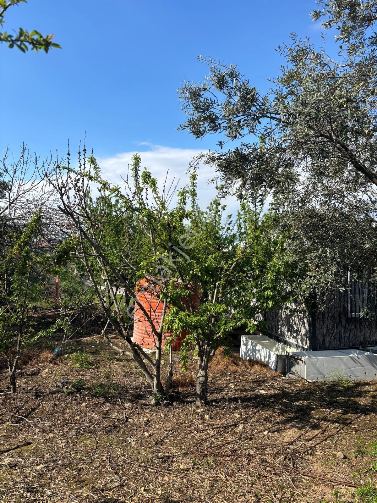 Atlas'tan Dalbahçe'de Mükemmel Konumda Ful Donanımlı Hobibahçesi - Görsel 18