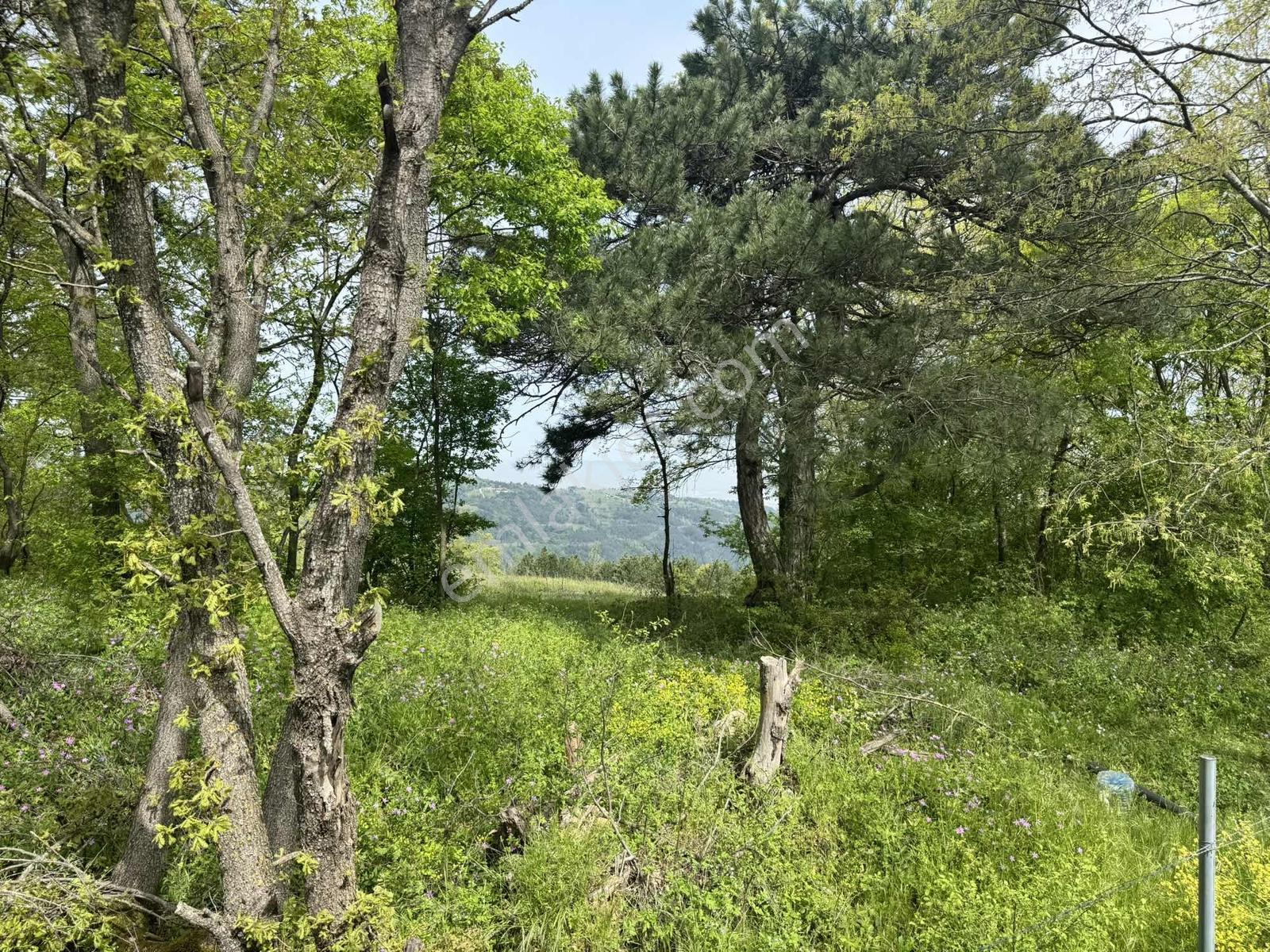 Osmangazi Gökçeören Müstakil Parsel 3968 M2 Yola Cephe Arazi - Görsel 10