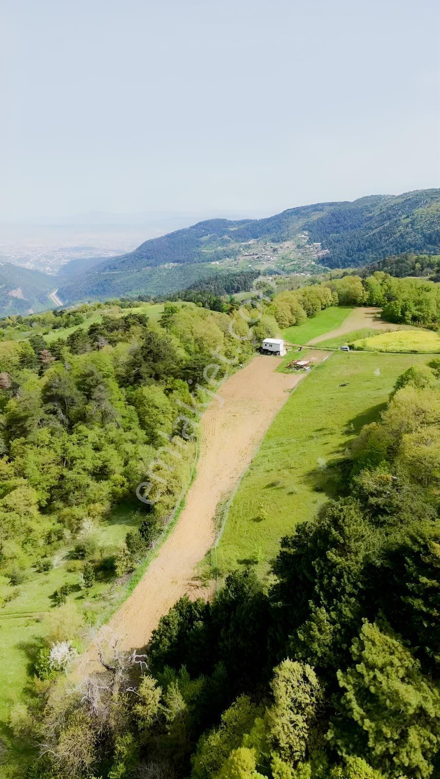 Osmangazi Gökçeören Müstakil Parsel 3968 M2 Yola Cephe Arazi