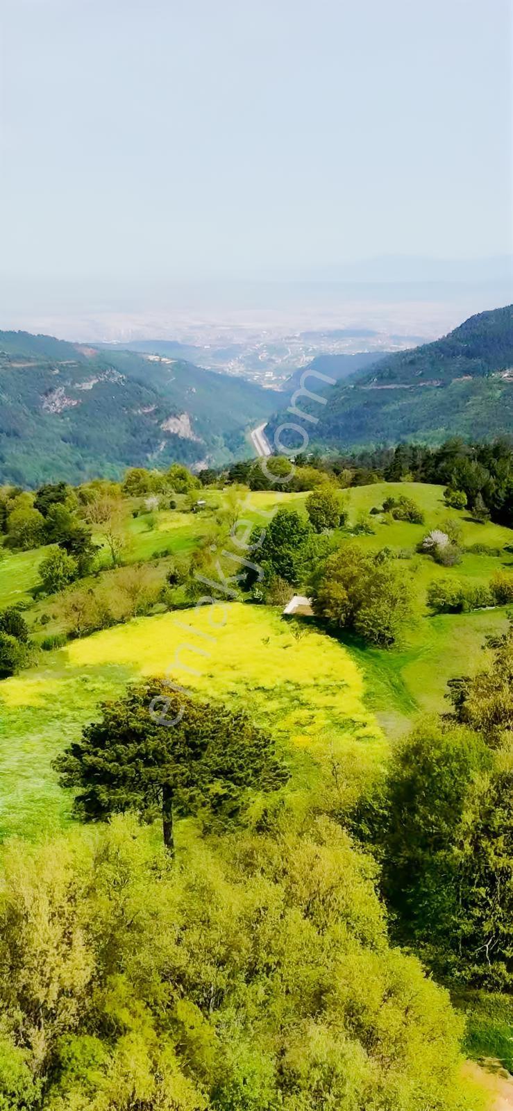 Osmangazi Gökçeören Müstakil Parsel 3968 M2 Yola Cephe Arazi - Görsel 16