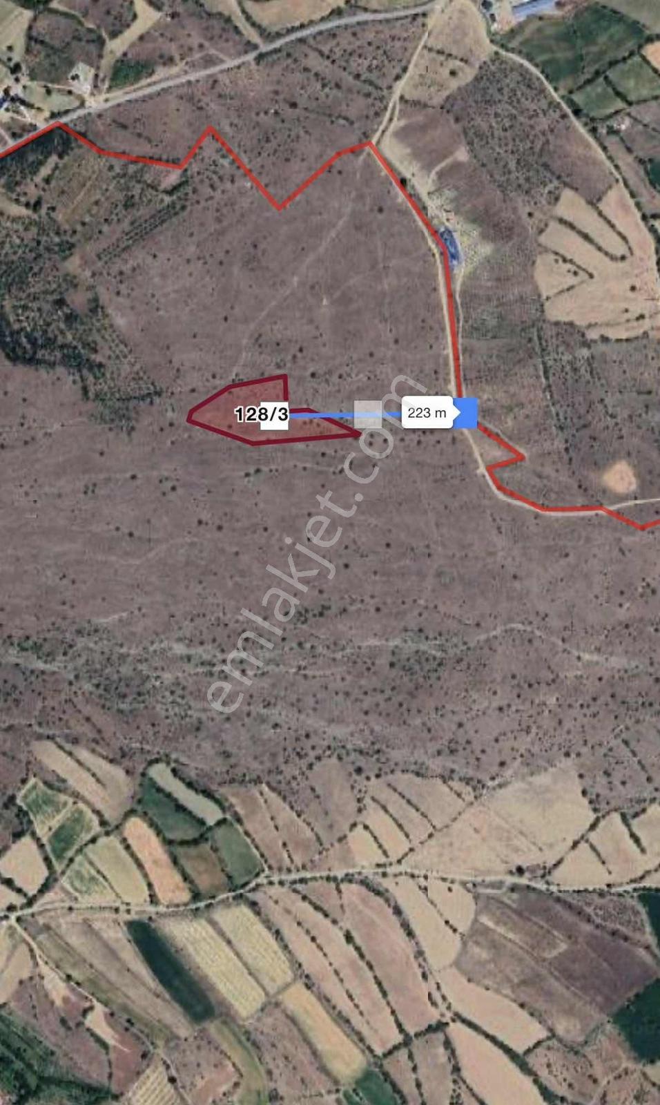 Remax Dem'den Cevizli Köyünde Satılık Fırsat Sulu Tarla - Görsel 4