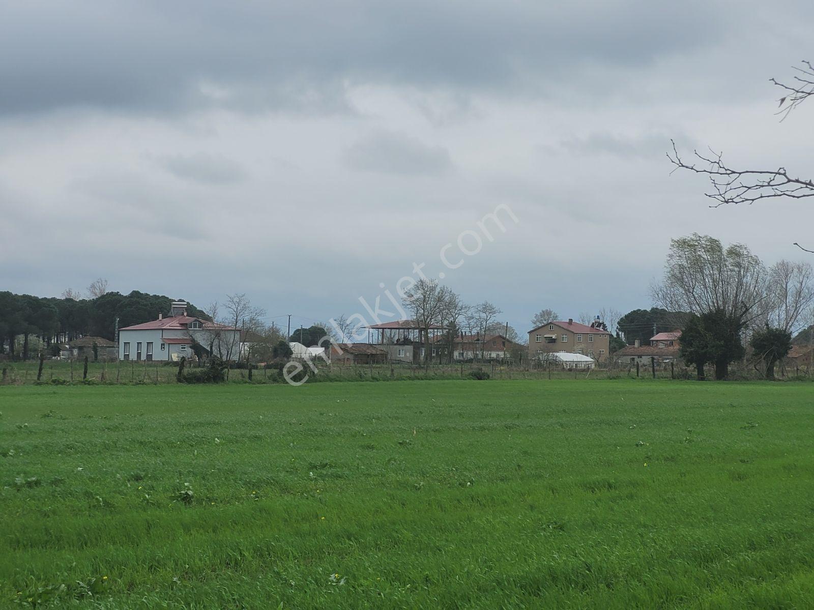 Samsun Çarşamba 3 Villalık Satılık Arsa