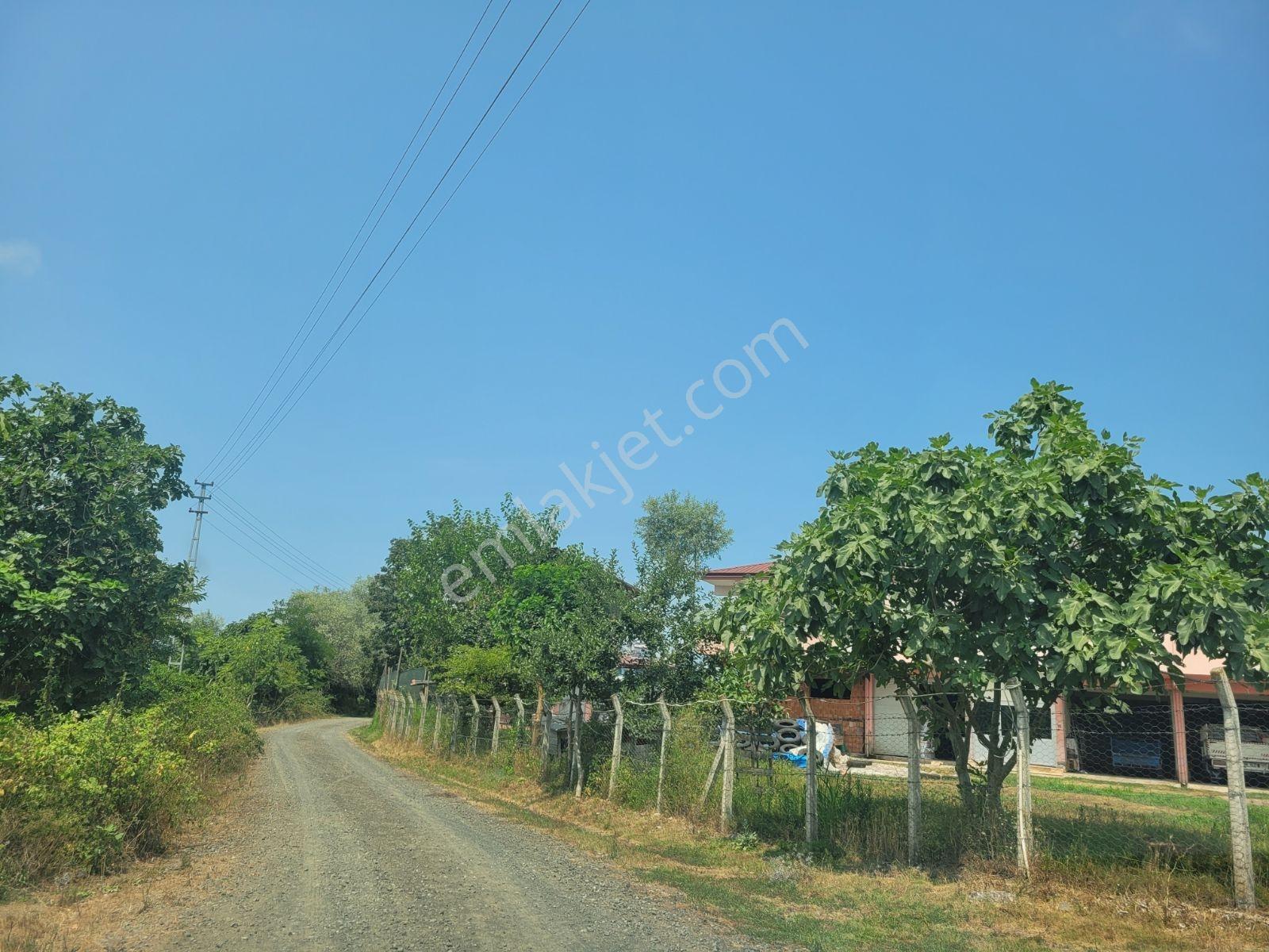 Samsun Çarşamba 3 Villalık Satılık Arsa - Görsel 3