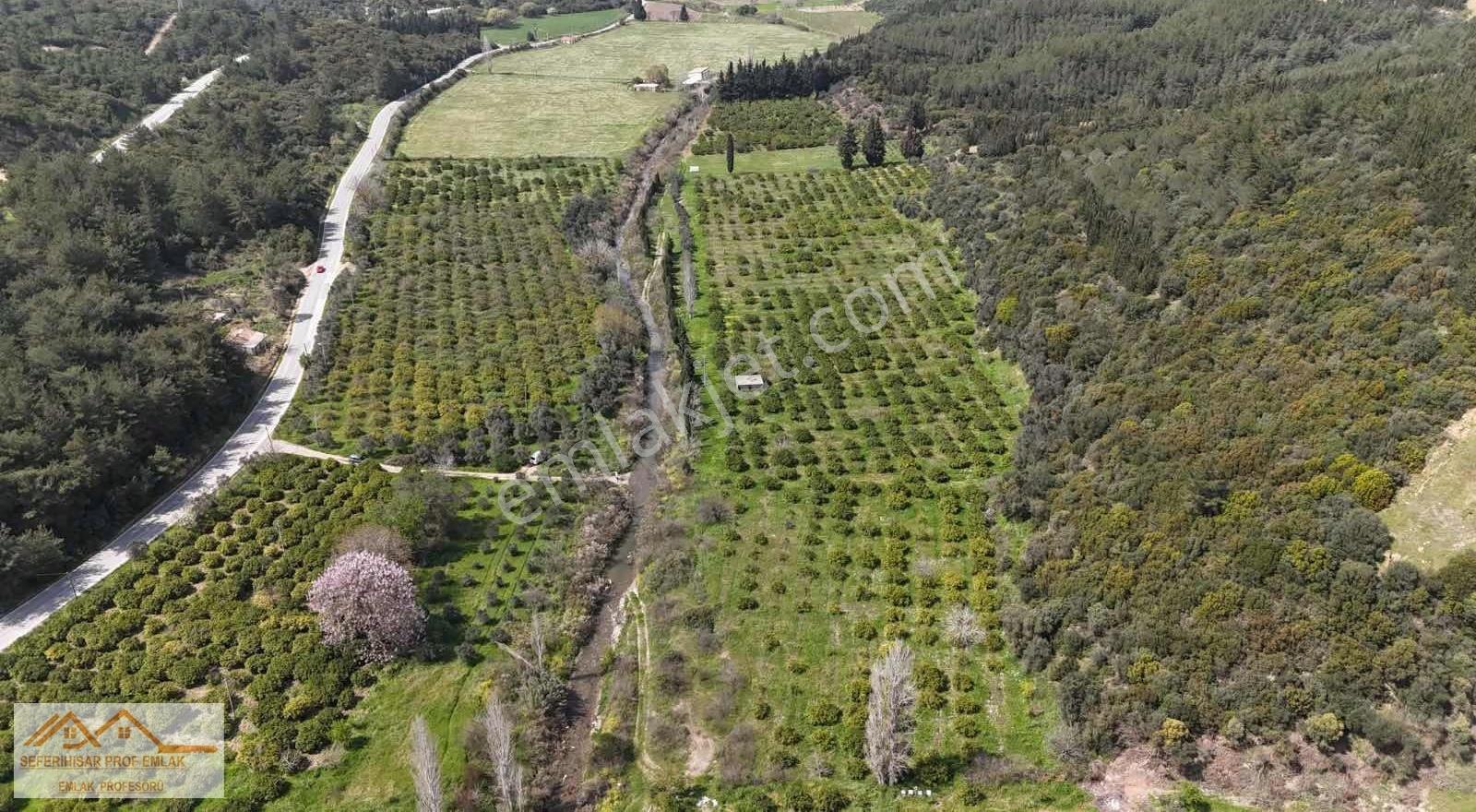 Orman La İç İçe Yeşillik Ve Oksijen Dolu Huzurun Adresi Arsa Mız - Görsel 13