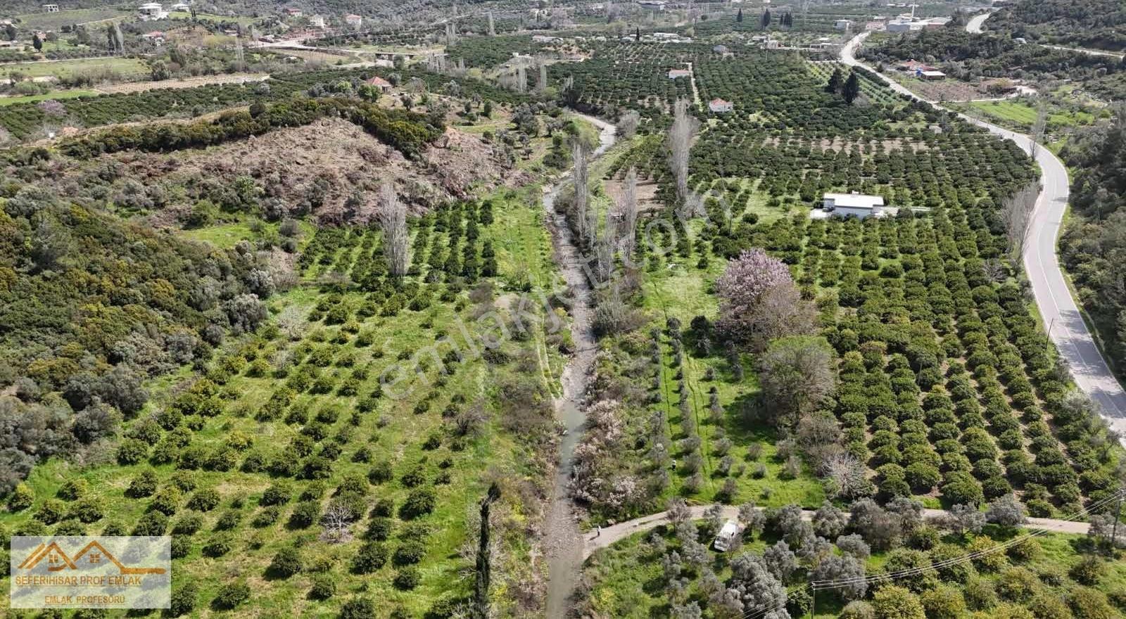 Orman La İç İçe Yeşillik Ve Oksijen Dolu Huzurun Adresi Arsa Mız - Görsel 8