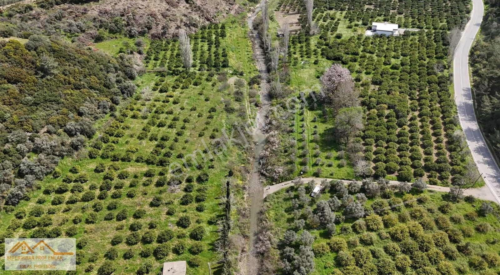 Orman La İç İçe Yeşillik Ve Oksijen Dolu Huzurun Adresi Arsa Mız - Görsel 3