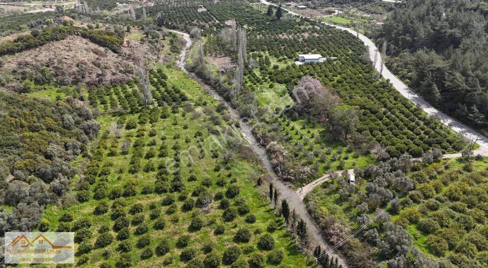 Orman La İç İçe Yeşillik Ve Oksijen Dolu Huzurun Adresi Arsa Mız - Görsel 9