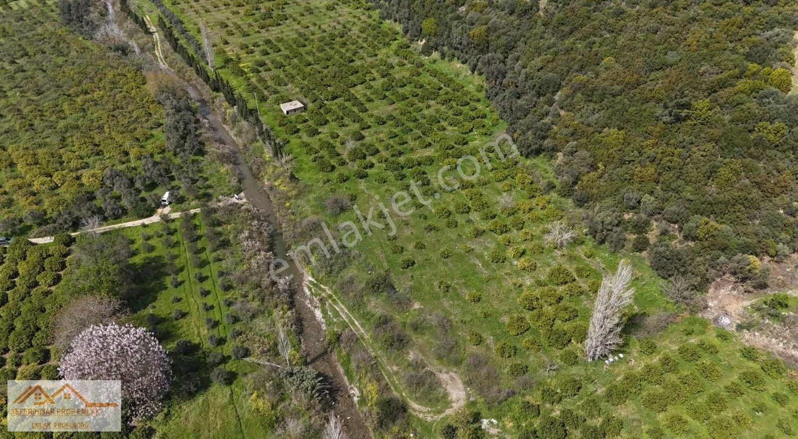 Orman La İç İçe Yeşillik Ve Oksijen Dolu Huzurun Adresi Arsa Mız - Görsel 14