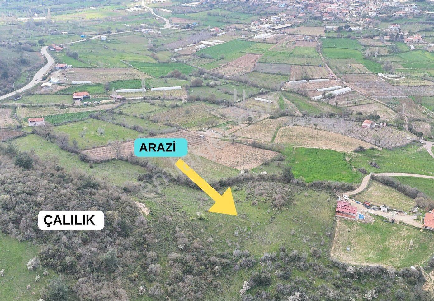 Sındırgı Pürsünlerde Baraj Manzaralı Tarla - Görsel 7