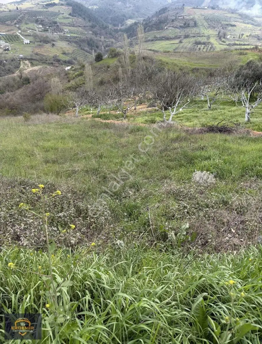 Bursa Osmangazi Seçköyde Satılık Tarla - Görsel 3