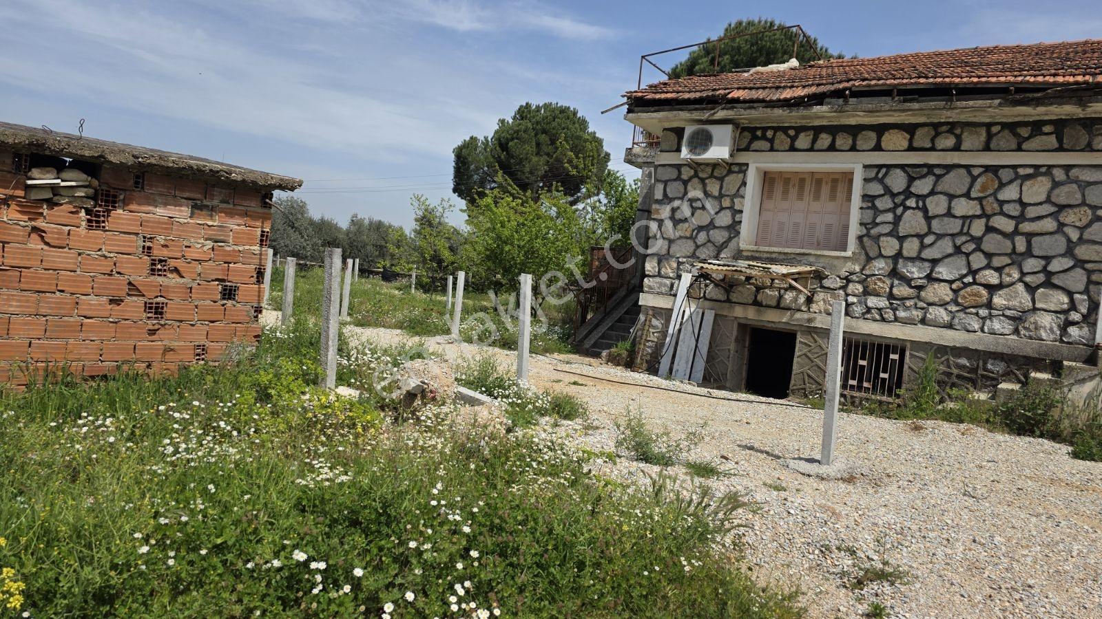 Değirmendere Şelalesine Yakın Satılık Bahçe - Görsel 7