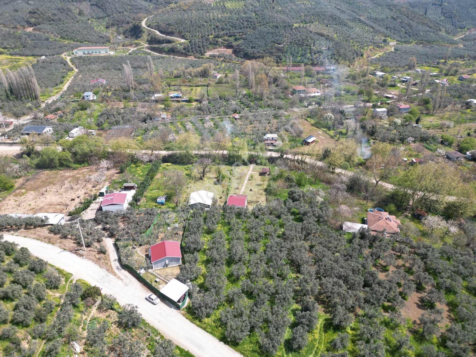 Gemlik Büyükkumla'da İçinden Dere Geçen, Köprülü Bahçe - Görsel 17