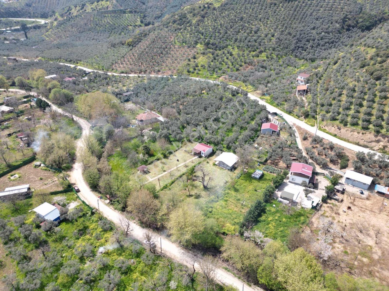 Gemlik Büyükkumla'da İçinden Dere Geçen, Köprülü Bahçe - Görsel 12