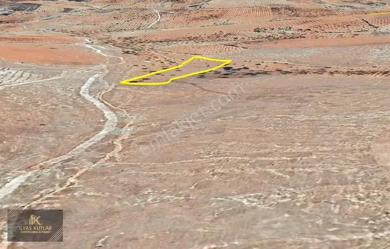 Bilek'de Satlık Yol Üstü 8.000m2 Zeytinlik (takas Olur) - Görsel 2