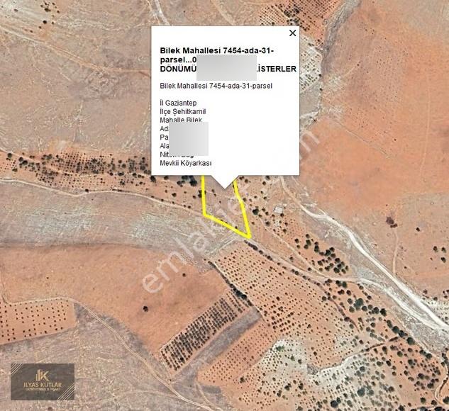 Bilek'de Satlık Yol Üstü 8.000m2 Zeytinlik (takas Olur) - Görsel 3
