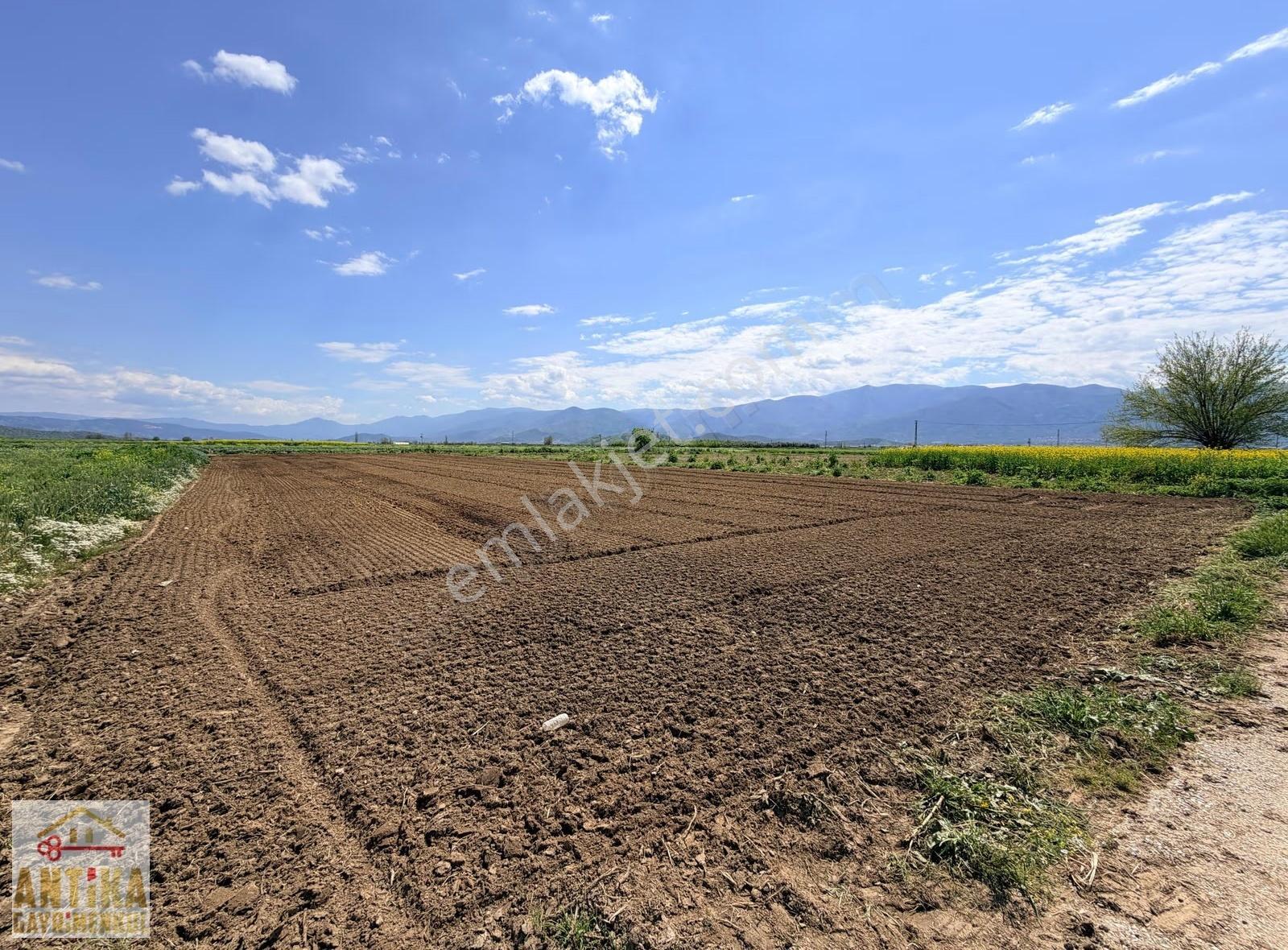 Antika Gayrimenkulden Asfalta Cepheli 2.500 M² Satılık Tarla - Görsel 7