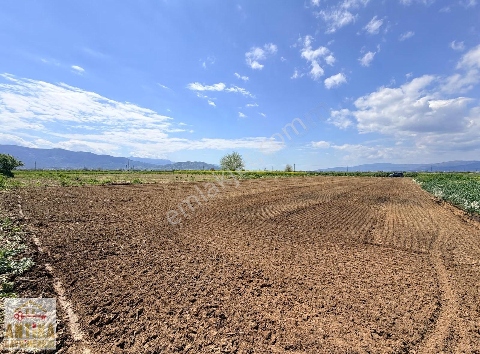 Antika Gayrimenkulden Asfalta Cepheli 2.500 M² Satılık Tarla - Görsel 3