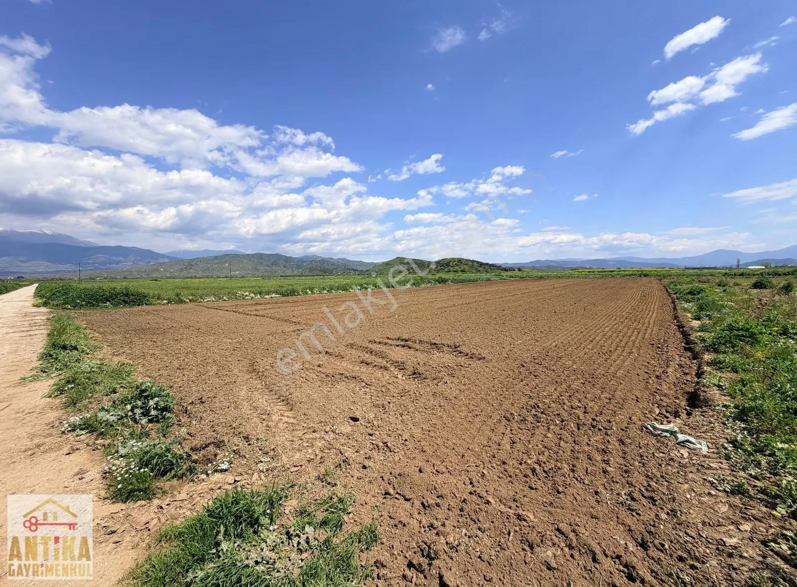 Antika Gayrimenkulden Asfalta Cepheli 2.500 M² Satılık Tarla - Görsel 4