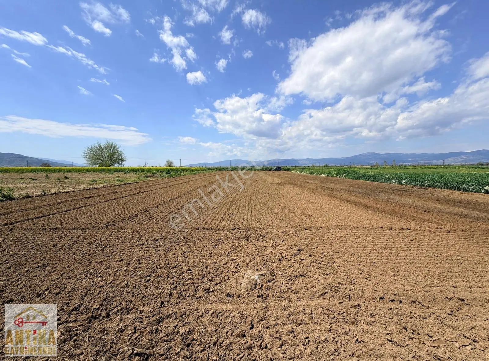 Antika Gayrimenkulden Asfalta Cepheli 2.500 M² Satılık Tarla - Görsel 8