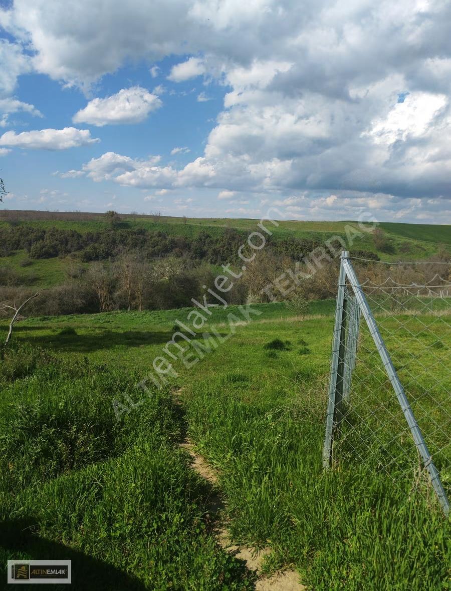 Tekirdağ Ahmedikli'de Manzaralı, İmarlı 570m² Arsa - Görsel 28
