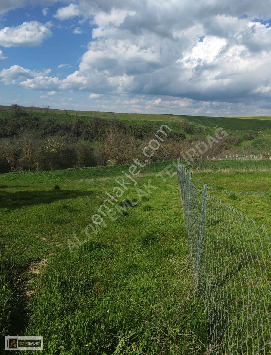 Tekirdağ Ahmedikli'de Manzaralı, İmarlı 570m² Arsa - Görsel 2