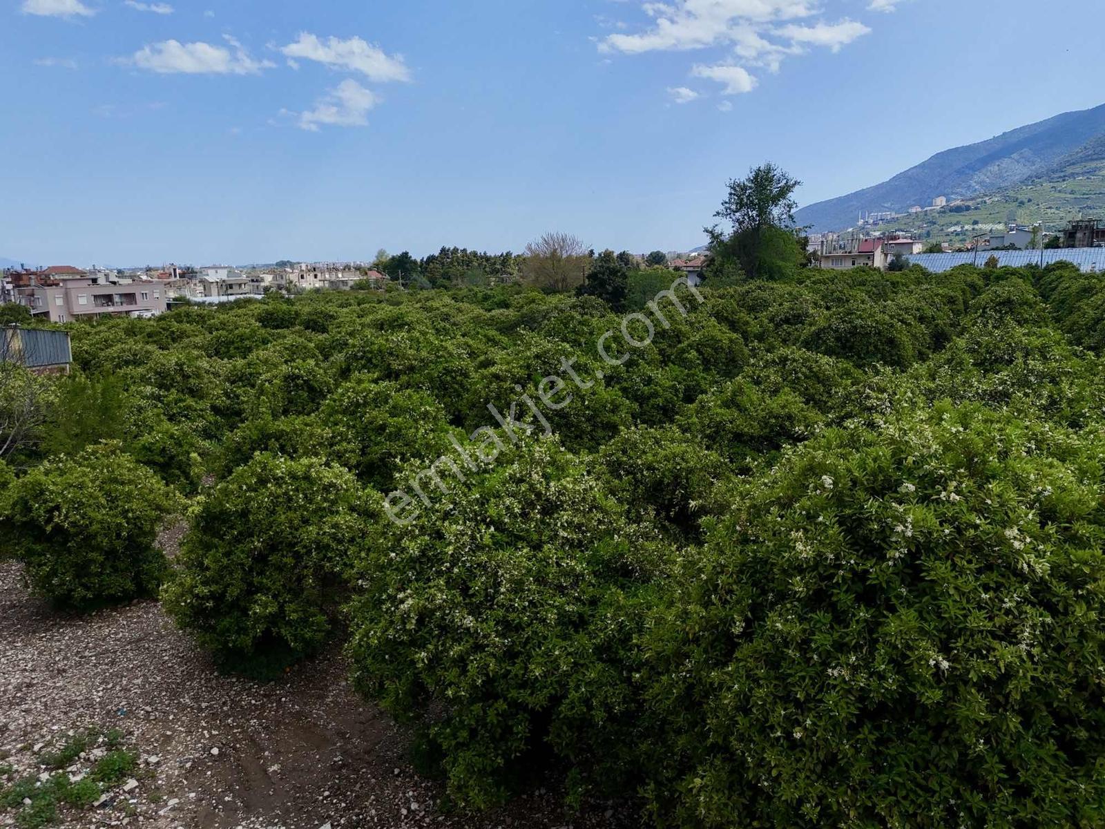 Finike Yeşilyurt'ta 13.200 M² Ticari + Konut İmarlı - Görsel 26