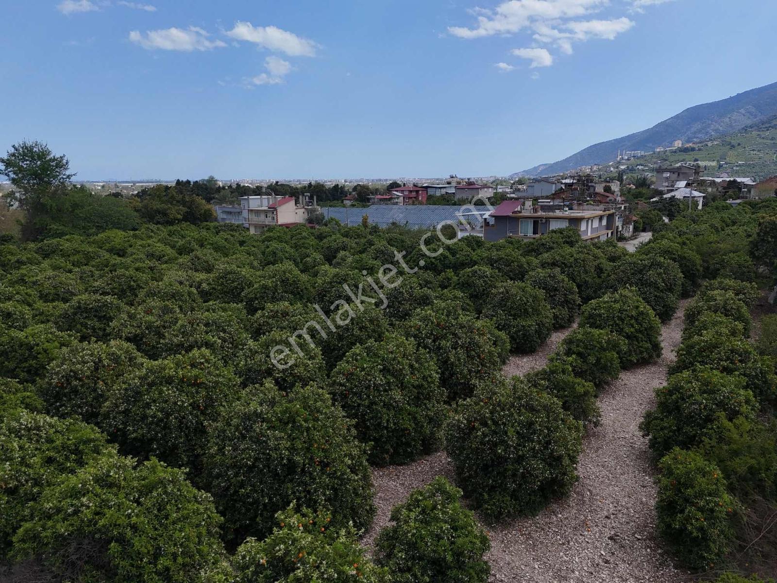 Finike Yeşilyurt'ta 13.200 M² Ticari + Konut İmarlı - Görsel 3
