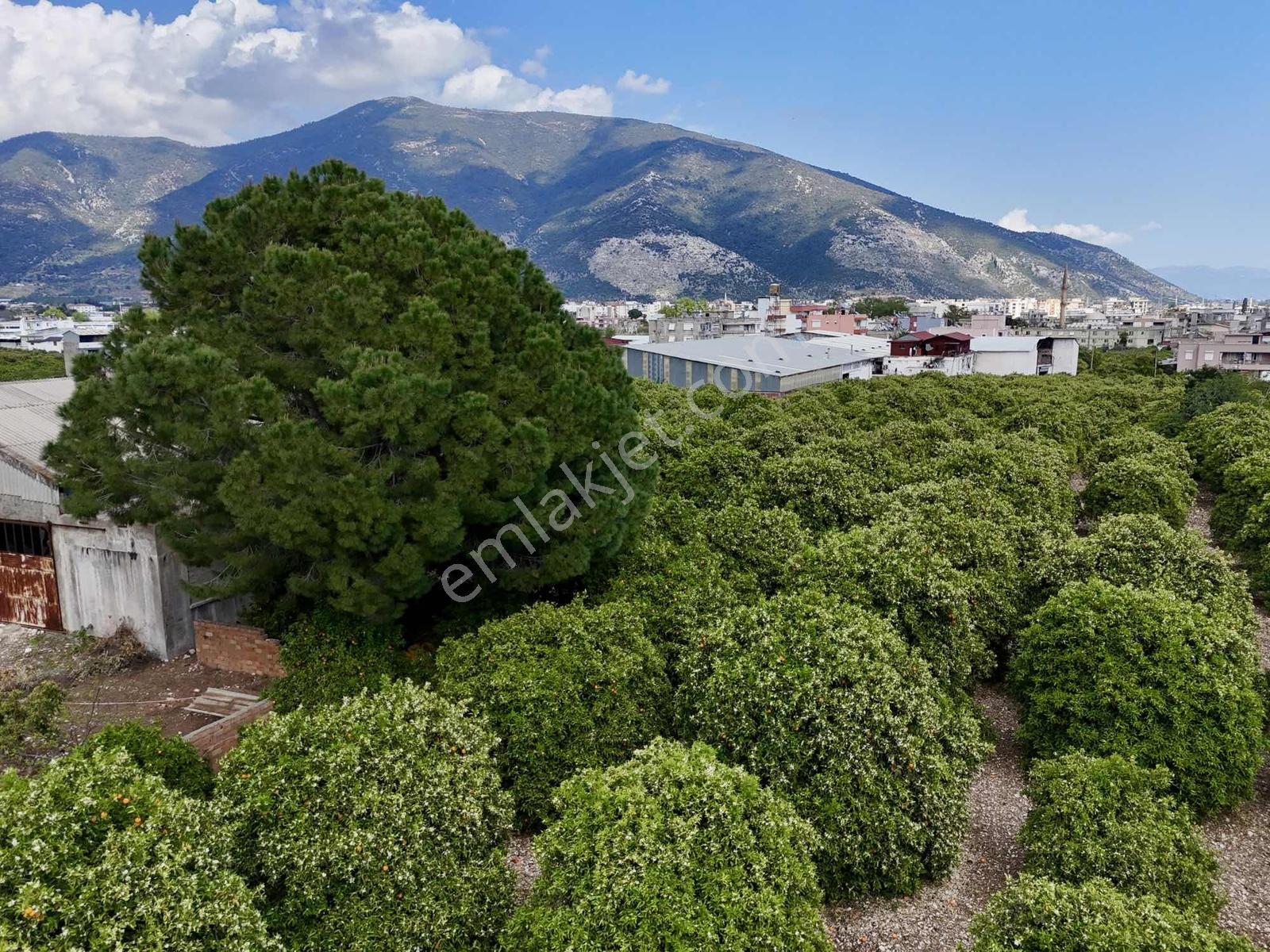 Finike Yeşilyurt'ta 13.200 M² Ticari + Konut İmarlı - Görsel 14