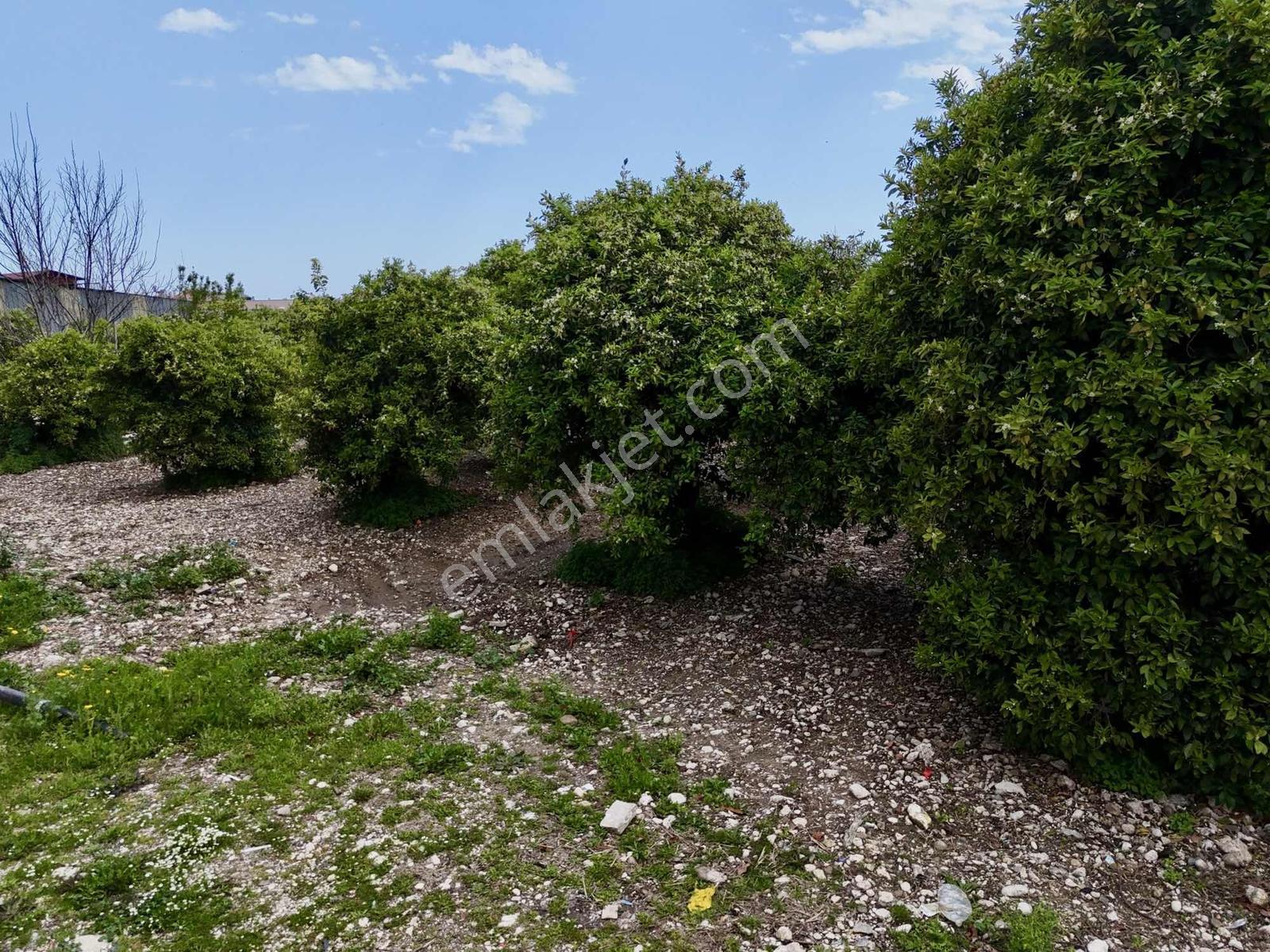 Finike Yeşilyurt'ta 13.200 M² Ticari + Konut İmarlı - Görsel 27