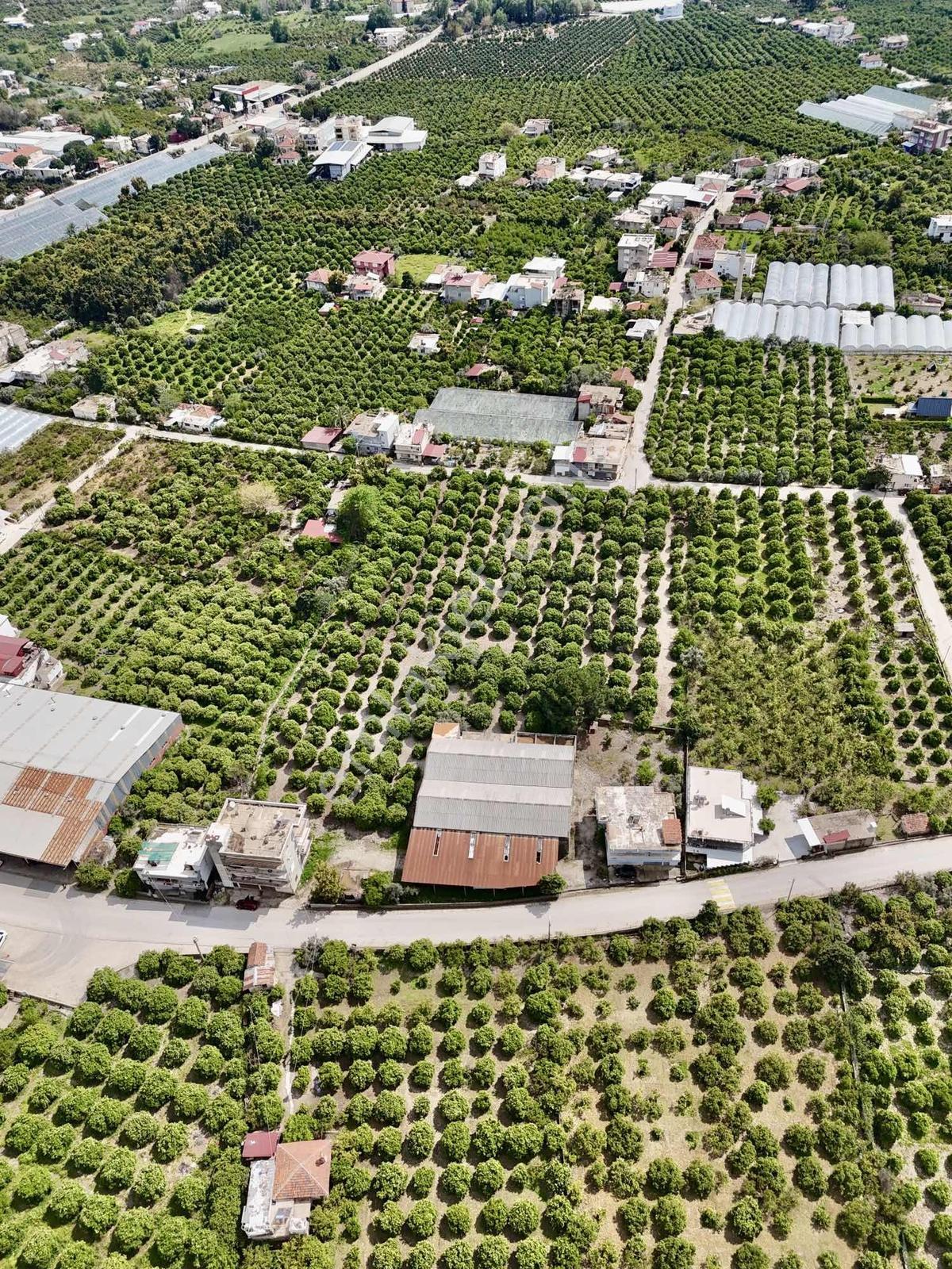 Finike Yeşilyurt'ta 13.200 M² Ticari + Konut İmarlı - Görsel 21