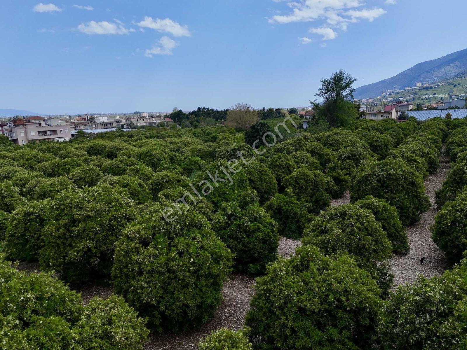 Finike Yeşilyurt'ta 13.200 M² Ticari + Konut İmarlı - Görsel 24