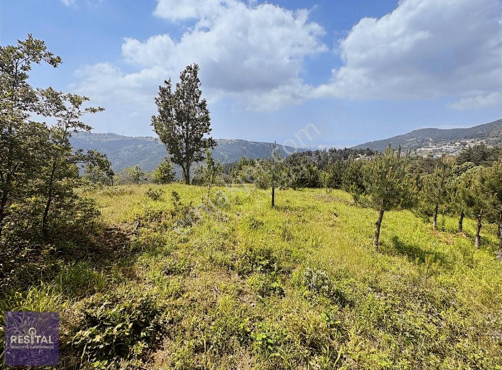 Gökçeören De Satılık Manzaralı 1611m2 Köye Yakın Bahçeler - Görsel 5