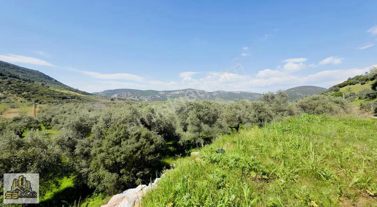 Sb Emlak'tan Akyurt Mahallesinde Konut İmarlı Arsa - Görsel 7