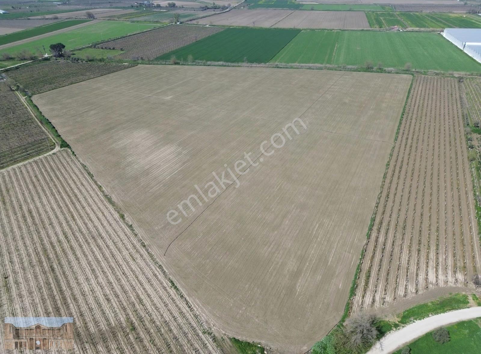 Satılık 75 Dönüm Süleymaniye Mahallesinde Yatırımlık Tarla - Görsel 3