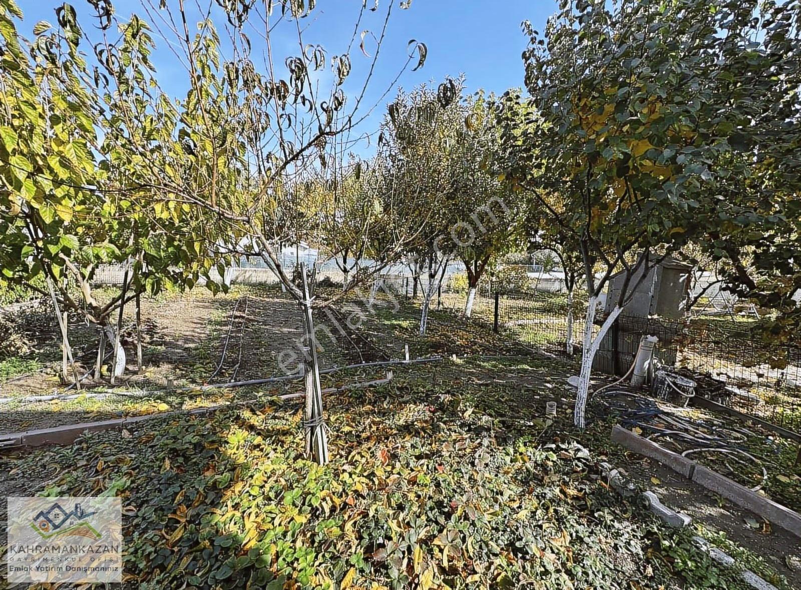 K.kazan Gyo'dan Çimşit'de Satılık Hobi Bahçesi - Görsel 17