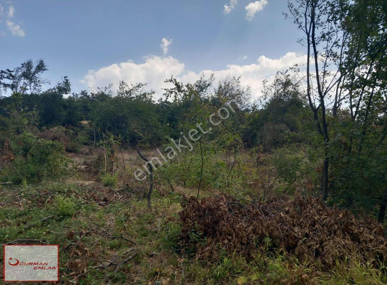 Uğurman Emlak'tan Balkanda Doğayla İç İçe Satılık Arazi - Görsel 3
